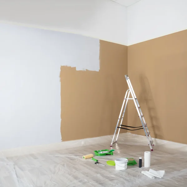 Plâtrerie et peinture